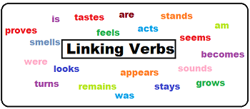 Linking Verb – Động từ nối trong tiếng Anh