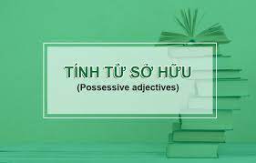 Những điều cần biết về tính từ sở hữu trong tiếng Anh